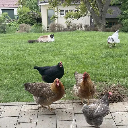 Nyaraló Uriges In Weissenburg Einbaukueche Und Garten Weißenburg in Bayern