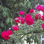 Uriges In Weissenburg Einbaukueche Und Garten * Weißenburg in Bayern